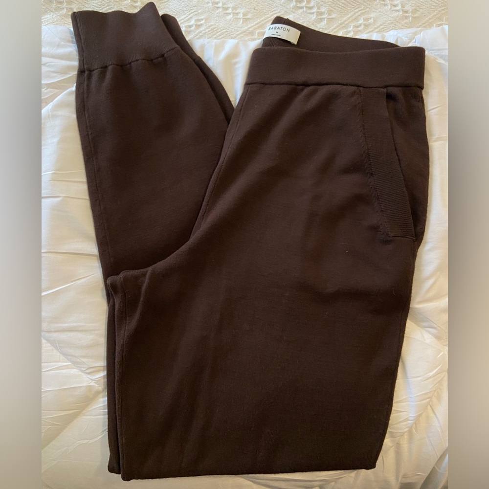Babaton Aritzia Rodin Jogger Mocha Brown M